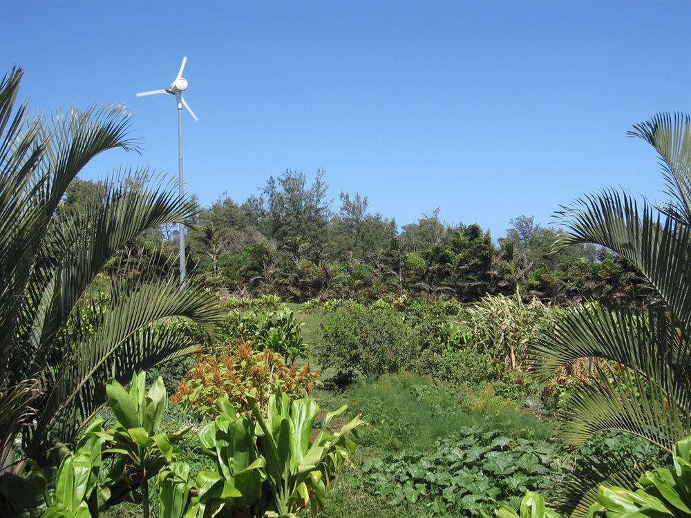 Вілла Hawaii Island Retreat At Ahu Pohaku Ho'Omaluhia Kapaau Екстер'єр фото