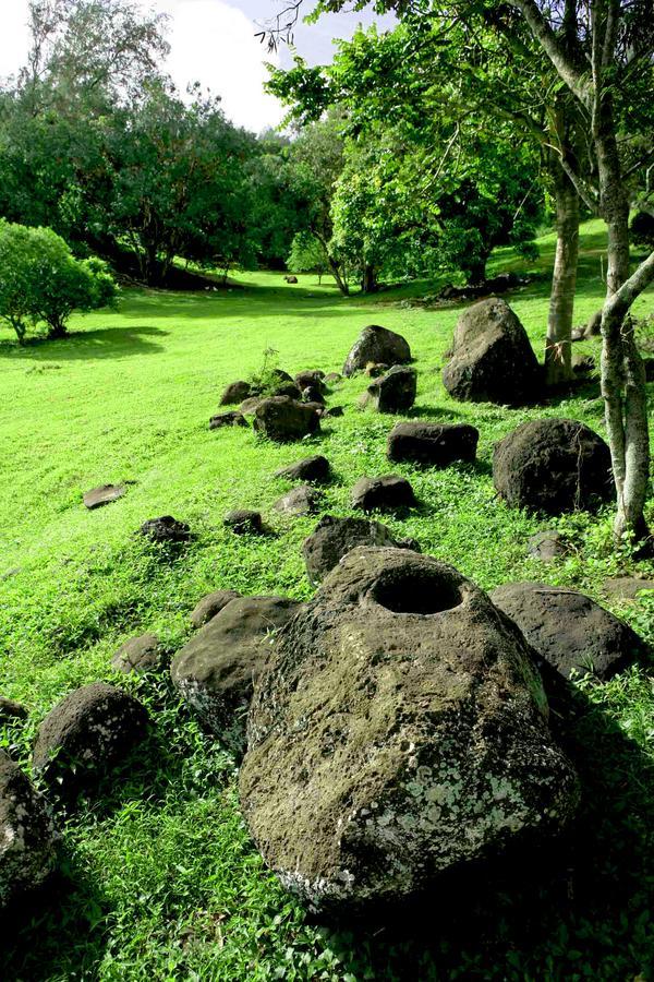 Вілла Hawaii Island Retreat At Ahu Pohaku Ho'Omaluhia Kapaau Екстер'єр фото