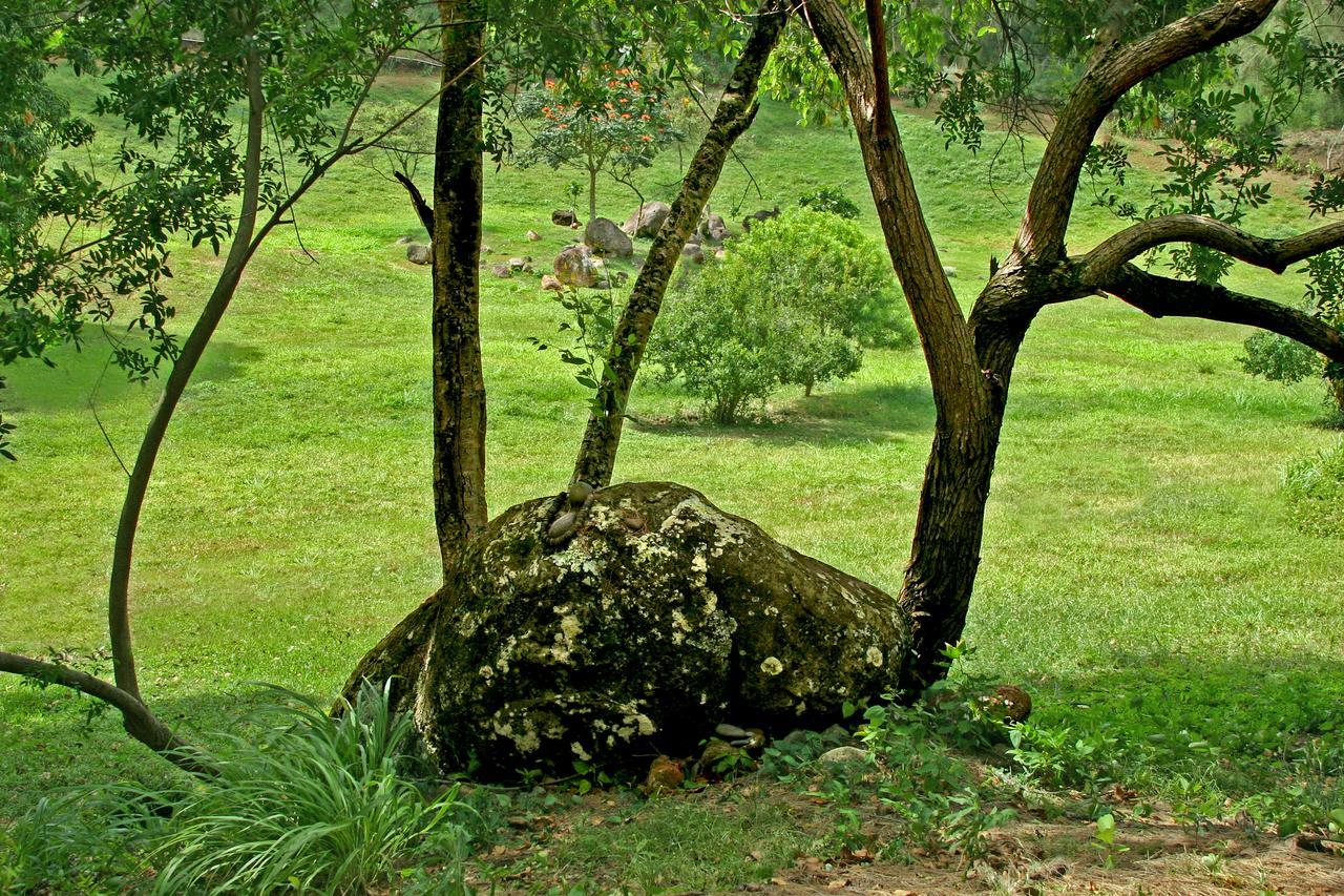 Вілла Hawaii Island Retreat At Ahu Pohaku Ho'Omaluhia Kapaau Екстер'єр фото